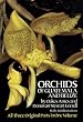 The Orchids of Guatemala and Belize