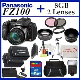 Panasonic Lumix DMC-FZ100 Digital Camera + SSE Huge 8GB Deluxe Lens Kit