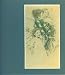 Books : American Drawings: Drawings of the Masters