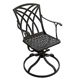 Versailles Cast Aluminum Swivel Rocking Chair Black Reviews 51rL5gdncUL. SL160 Versailles Cast Aluminum Swivel Rocking Chair Black Reviews
