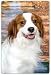 Kooikerhondje Cutting Board
