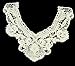 Beige Flower Neckline Lace Collar Charming Sewing Applique