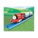 Thomas and Friends Motorized Road and Rail Battery Powered Tank Engine: Skarloey + 2 Passenger Coach