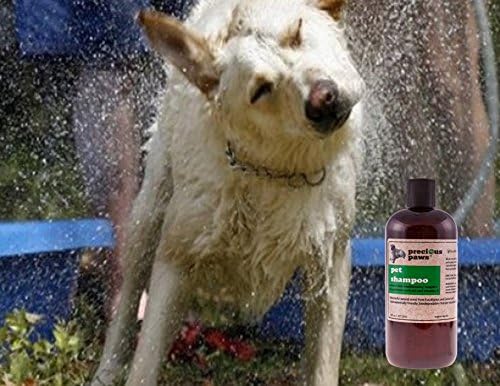 B&G 100% Natural Pet Shampoo & Conditioner (16oz) - Bath with Soothing Cleanser & Moisturizer Will Relieve Dry, Itchy and Sensitive Skin - Contains Soothing Ingredients - Made in USA
