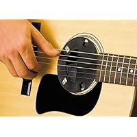 Players Products SQS1 Silencer Sndhole Cover