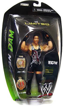 Childrens Toyshop  Toys : WWE Exclusive Limited Edition RVD - Rob Van Dam