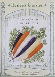 Carrot Seeds Tricolor Circus Circus