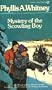 Mystery of the Scowling Boy