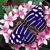 Butterflies 2012 Wall Calendar 12