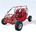 Go Kart 250cc - 2 Seater