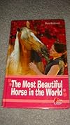The Most Beautiful Horse in the World