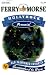 Ferry-Morse Perennial Flower Seeds 1895 Hollyhock - Old Fashion Single Bloom 500 Milligram Packet
