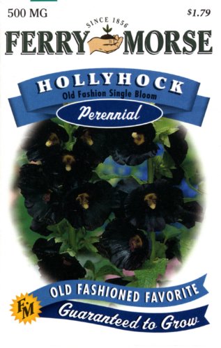 Ferry-Morse Perennial Flower Seeds 1895 Hollyhock - Old Fashion Single Bloom 500 Milligram Packet