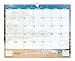 Blue Sky 2015-2016 Academic Year Wall Calendar, Endless Summer Collection, Wire-O Bound, 15 x 12 Inches (17085)