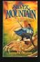 Silver Mountain