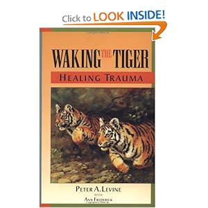 Waking the Tiger Book Review