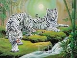 2 White Tigers Wall Scroll R46