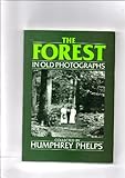 The Forest in old photographs