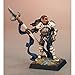 Lord Ironraven Crusader Captain Miniature 25mm Heroic Scale Warlord Reaper Miniatures