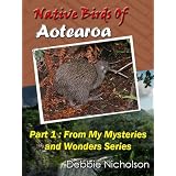 Native Birds of Aotearoa Part 1 : From My Mysteries and Wonders Series