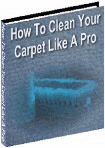 How to CLEAN Your CARPET Like a Pro