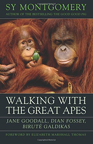 Walking with the Great Apes