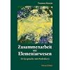 Zusammenarbeit mit Elementarwesen: 13 Gespr�che mit Praktikern