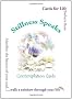 Stillness Speaks Contemplation Cards