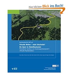 Virtuelle Welten - reale Entscheide?: Die Alpen im Modellbaukasten