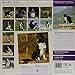 Magnet & Steel Border Collie 2015 Wall Calendar