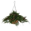 32" Cedar Twig with Pine Cones Outdoor Hanging Basket Christmas Decoration
