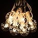 Hometown Evolution, Inc. 50 Foot G40 Globe Patio String Lights with Clear Bulbs (White Wire)