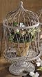 Weathered Grey Wire Cloche Dome Terrarium with Decorative Metal Base