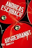 Ausgebrannt: Thriller (Allgemeine Reihe. Bastei Lübbe Taschenbücher)