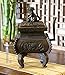 T-Trove Bronze Retangular Fu Dog Incense Burner