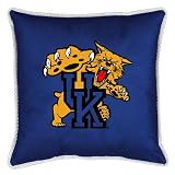 Kentucky Wildcats 22in. Sidelines Pillow by Sports Coverage