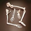 Elastic Foot Demonstration Model Left A31SPL