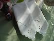 4PC Elegant Hand Crochet/Embroidery Napkins Set