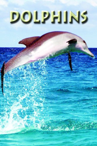 Dolphins (Zoo Kids)