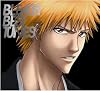 BLEACH BEST TUNES(DVD��)