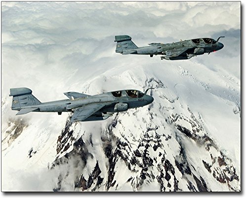 EA-6 / EA-6B Prowler Cougars VAQ-139 11x14 Photograph Photo Print