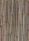 Rainbow R636 Bamboo Fencing