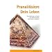 Pranalitisiere Dein Leben: Eine Anleitung zur Arbeit mit neuen Energien und Pranalit-Objekten