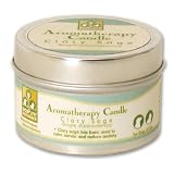 Pet Supplies : ecoPure Aromatherapy Candle - Clary Sage