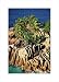 Aerial of Rocky Islet, Seychelles poster print,14.4 in. x 20 in.