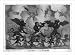 Historic Print (L): A happy dance for Europe