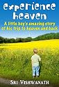 Experience Heaven- A Little boy's amazing story of his trip to heaven and back