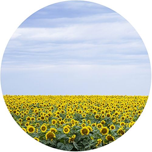 Decorative Cutting Board Tempered Glass Plate Fine Art Photo Sunflowers Field (12" Round)