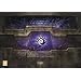 Starcraft II: Heart of the Swarm Collector's Edition (PC/Mac DVD)