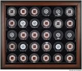 Framed 30 Hockey Puck Display Case